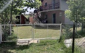 Guest House 